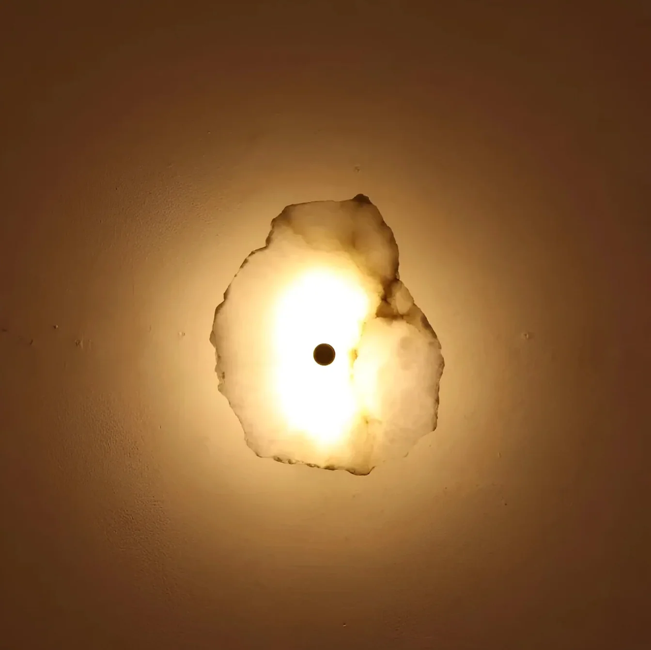 Decorative Organic Shape LED Wall Sconce Modern Lighting - Image 8