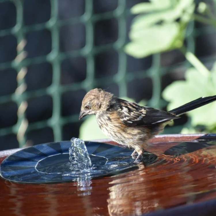 Floating Solar Fountain Pump for Garden Ponds and Bowls - Image 3