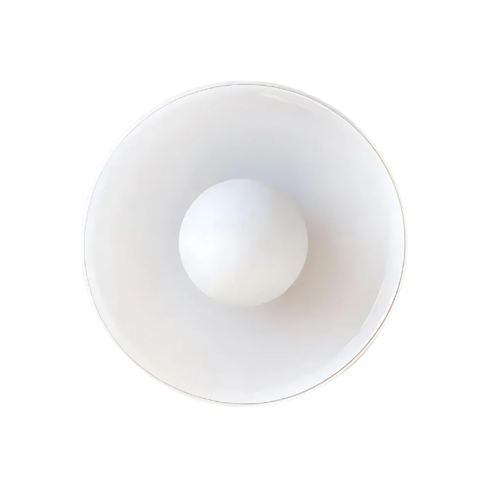 Glass Disc Ceiling and Wall Light with Central Globe - Image 20