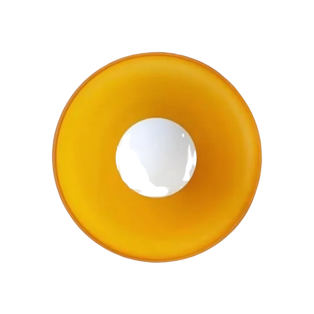 Glass Disc Ceiling and Wall Light with Central Globe - Image 5
