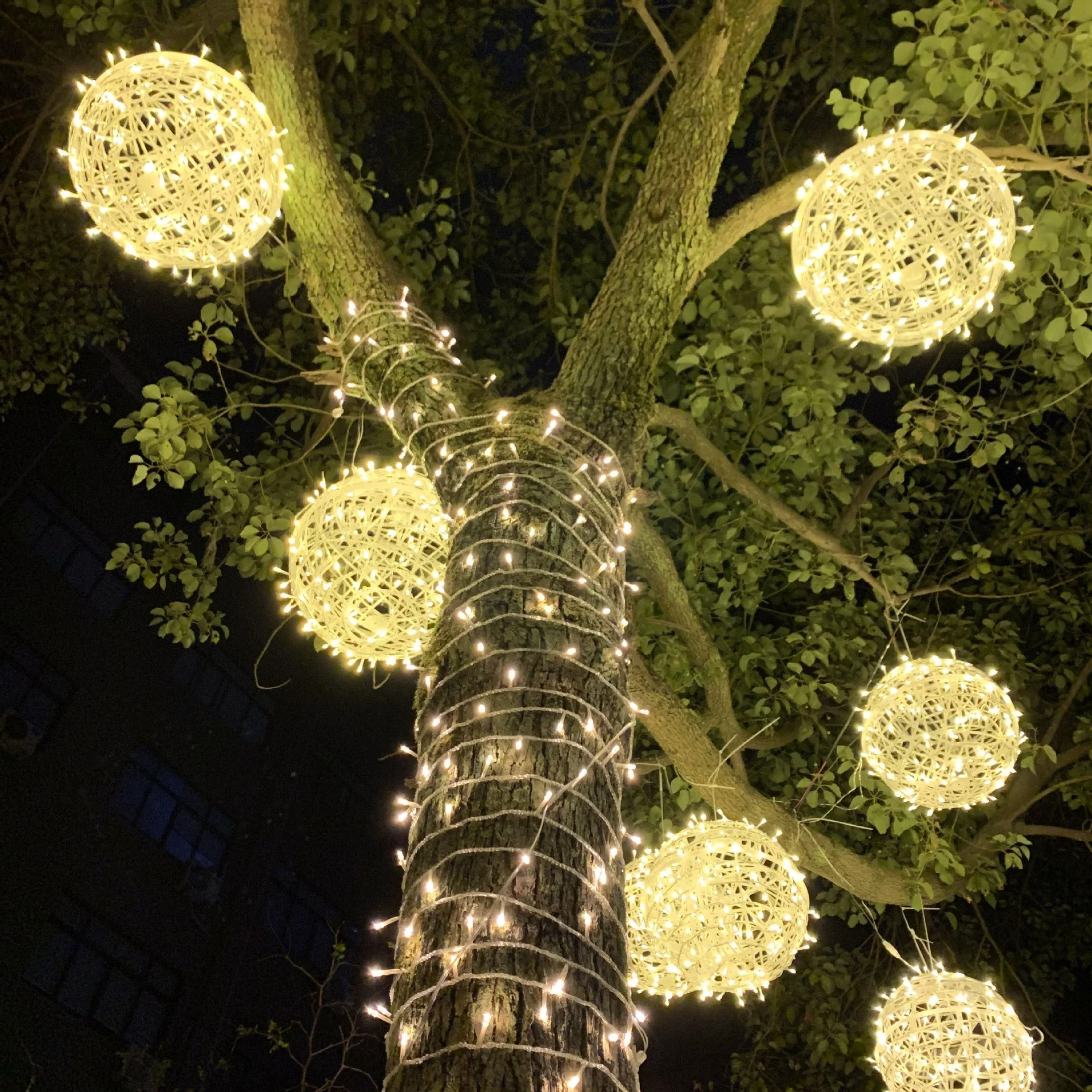 Hanging LED Sphere Lights with Metal Wire Ball Design