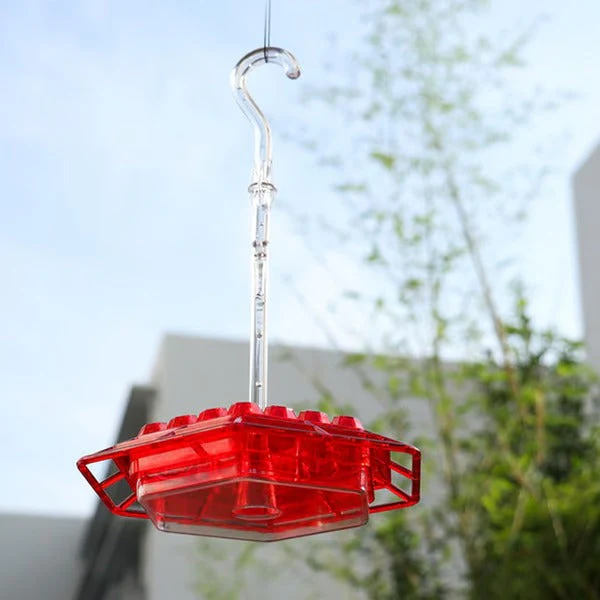 Hummingbird Feeder with Ant Moat Hanging Nectar Feeder