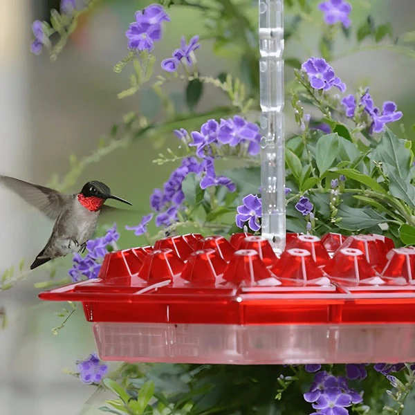 Hummingbird Feeder with Ant Moat Hanging Nectar Feeder - Image 2