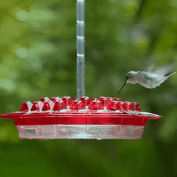 Hummingbird Feeder with Ant Moat Hanging Nectar Feeder - Image 5