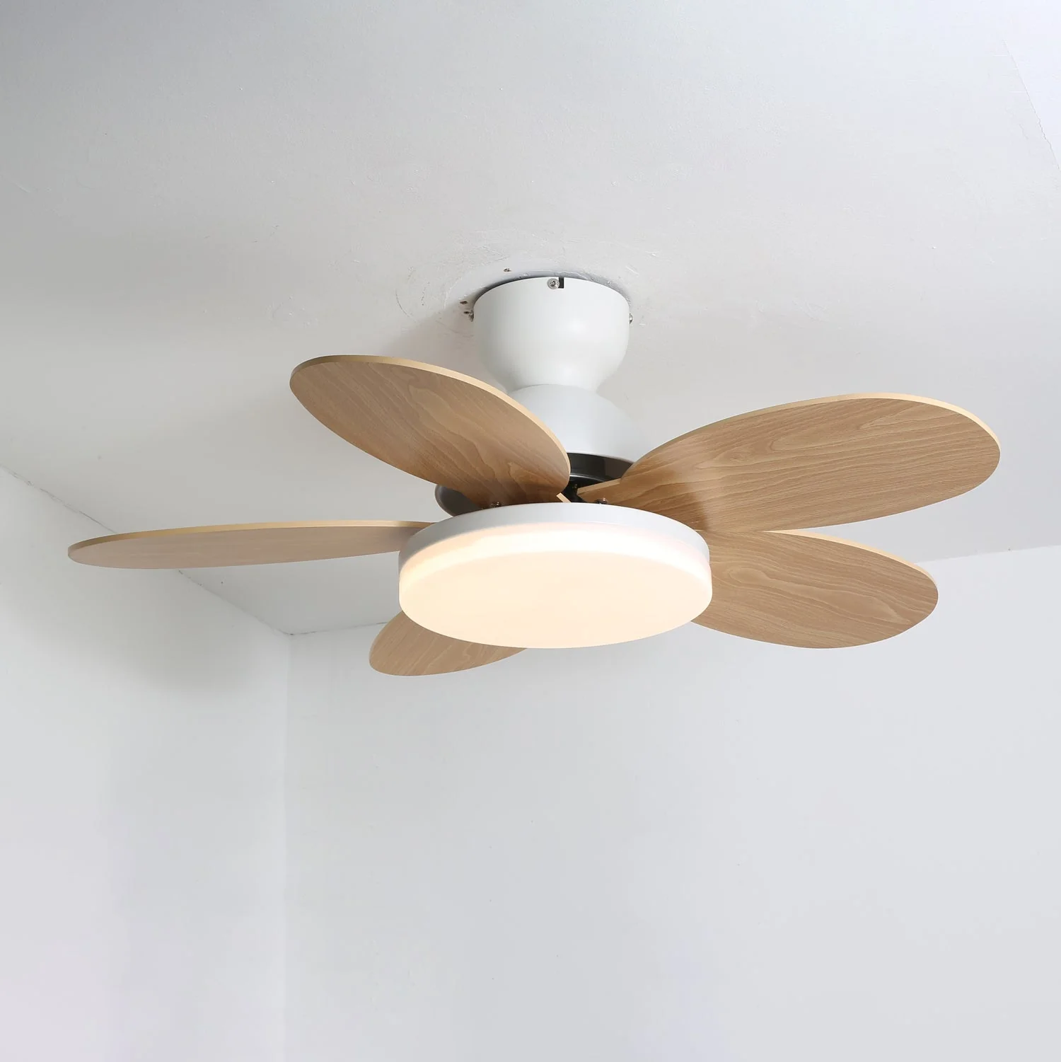 Modern Ceiling Fan LED Light with Multicolour Blades - Image 17