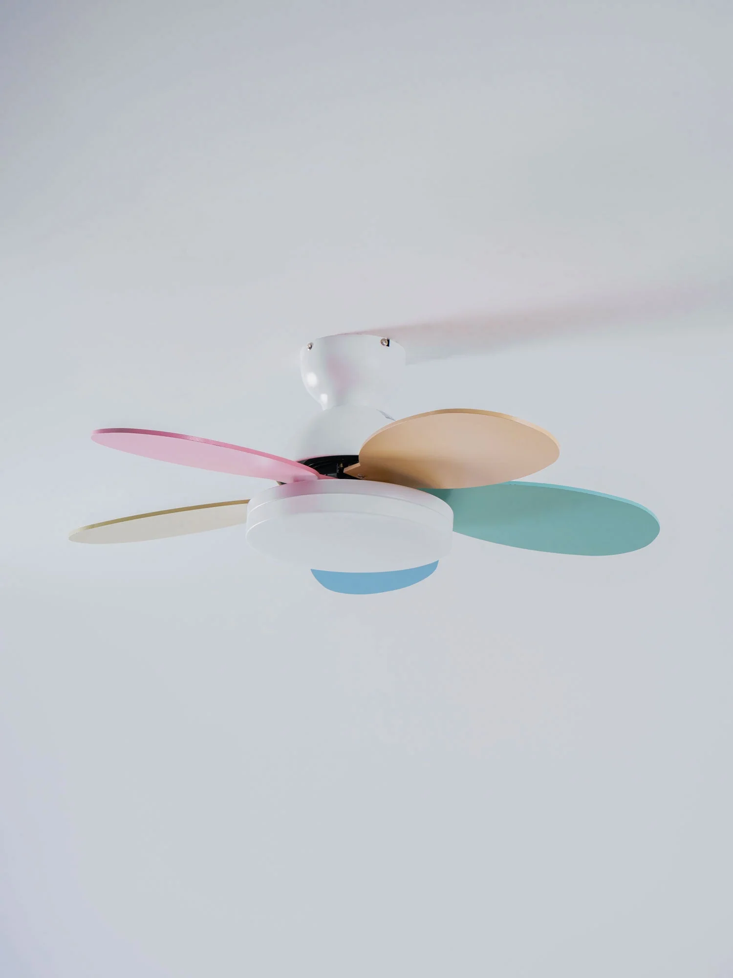 Modern Ceiling Fan LED Light with Multicolour Blades - Image 39