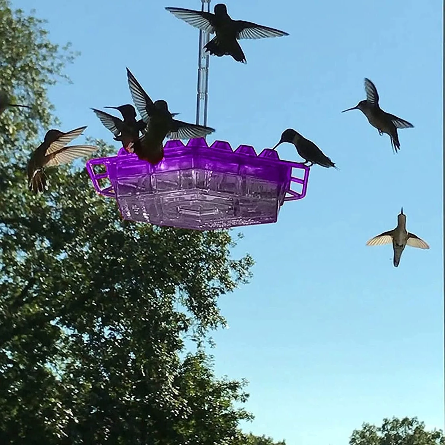 Outdoor Hanging Hummingbird Feeder with Ant Guard Nectar Tray