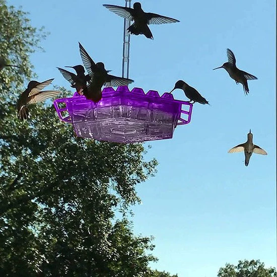 Outdoor Hanging Hummingbird Feeder with Ant Guard Nectar Tray - Image 3