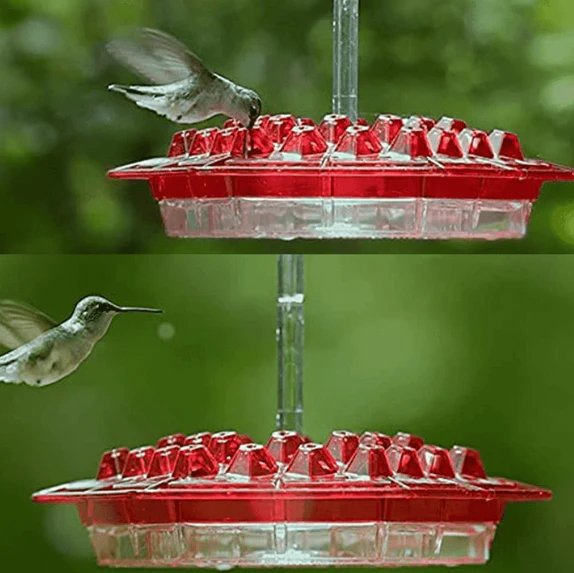 Outdoor Hanging Hummingbird Feeder with Ant Guard Nectar Tray - Image 6
