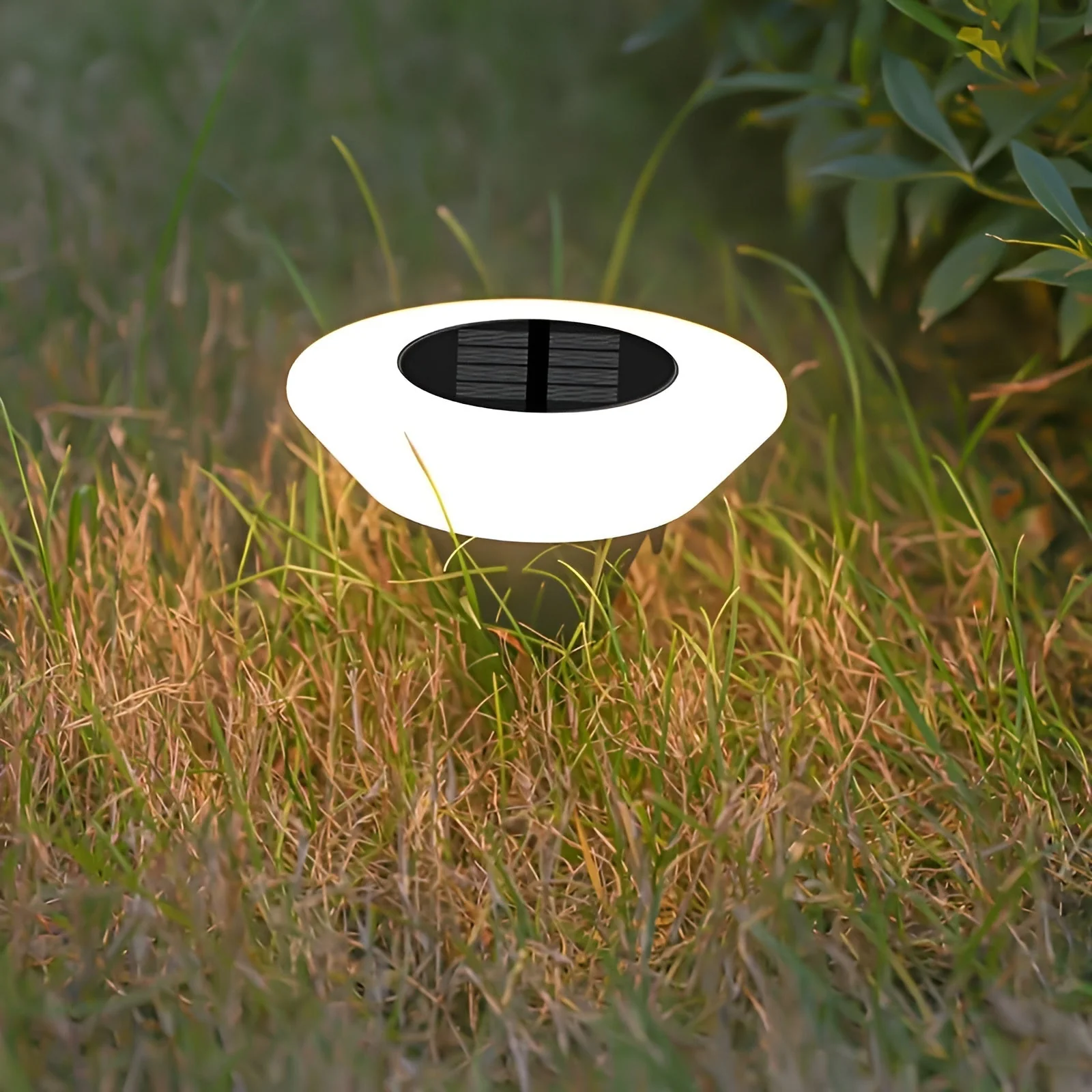 Round Solar Powered LED Path Lights for Garden and Walkways - Image 3
