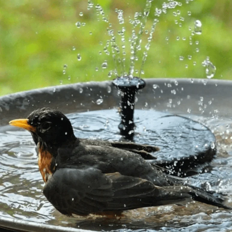 Solar Fountain Pump with LED Lights Outdoor Water Feature - Image 5
